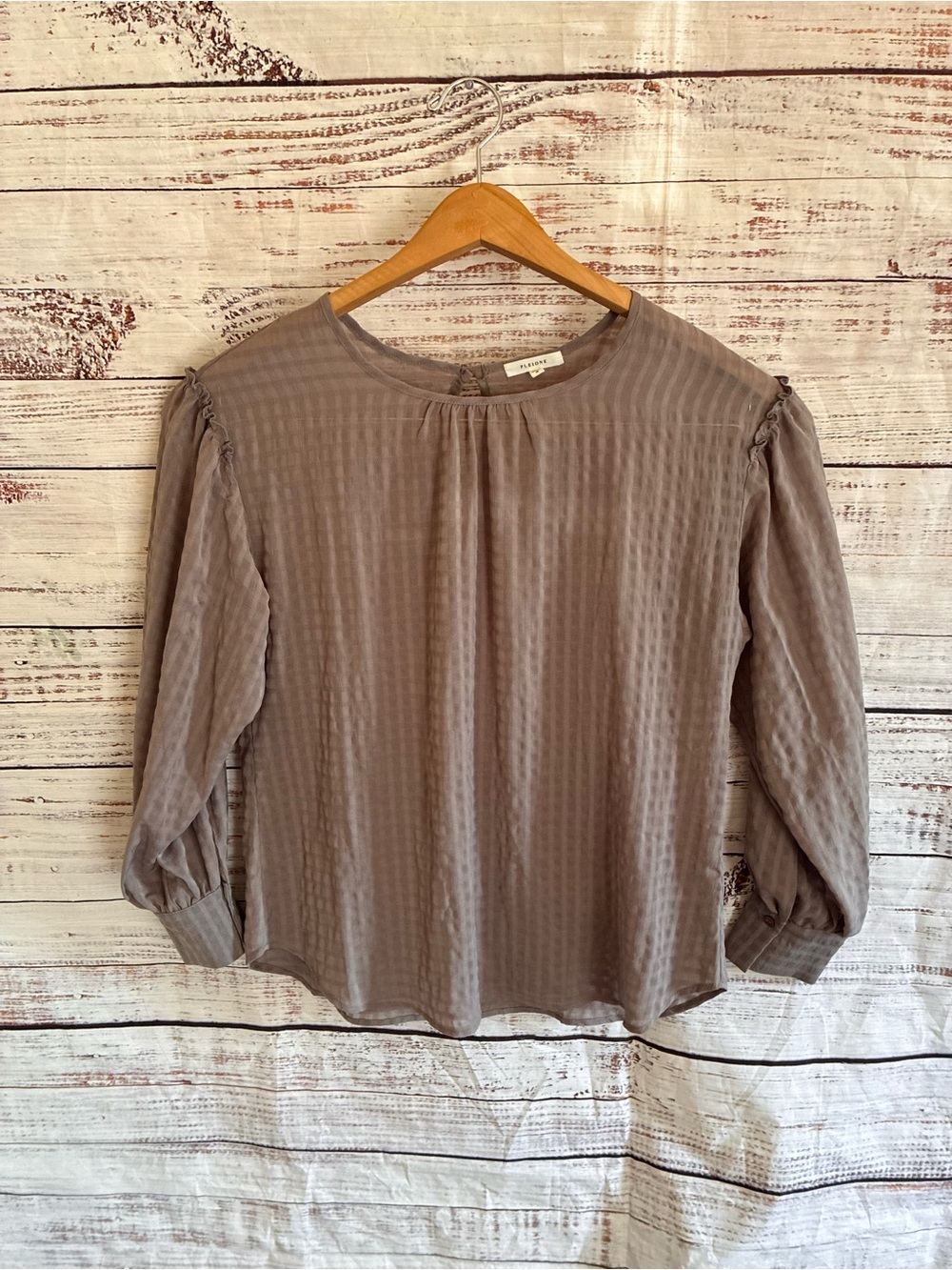 Pleione Pleated Long-Sleeve Blouse in Mauve — Women’s Sheer Top Medium